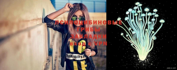 крисы Куйбышев