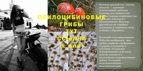соль курить ск Кулебаки