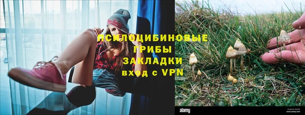 крисы Куйбышев