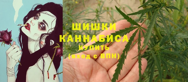 крисы Куйбышев