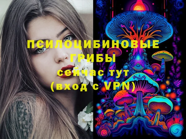 крисы Куйбышев