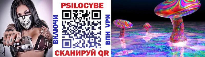 Псилоцибиновые грибы Psilocybe  MEGA как войти  дарк нет клад  Райчихинск 